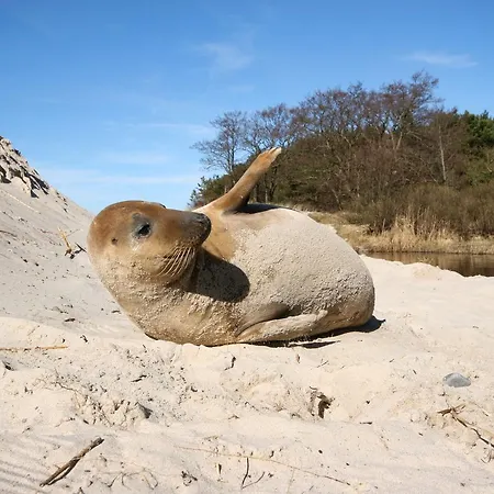 Jantar - Rodzinny Z Ogrodem